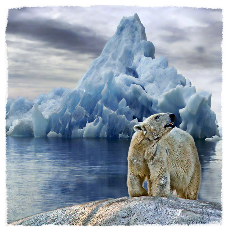 DPR_PolarBear.jpg