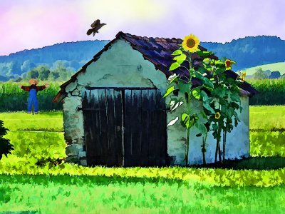 PhotographyBBSunFlower.jpg