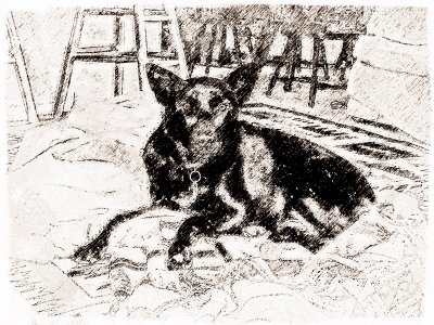 PhotoBB_StarrSketch2.jpg