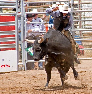 BullRidn3.jpg