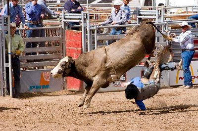 BullRidn4.jpg