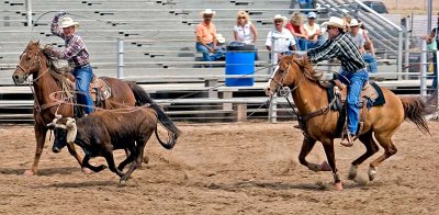 CalfRoping4.jpg