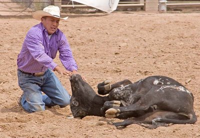 CalfWrestling1.jpg