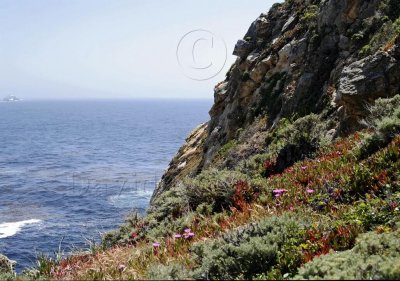 Monterey and Big Sur - misc photos