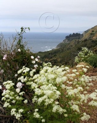Big Sur_0122L.jpg