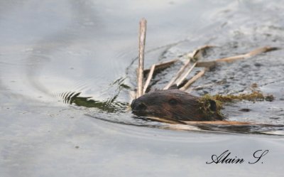 IMG_4812