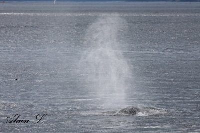 IMG_6135