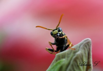 IMG_5437