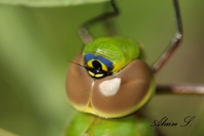 IMG_6013