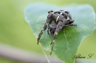 IMG_6258