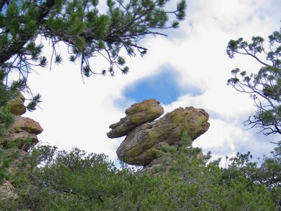 Duck rock