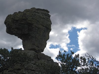 Looked like a camel head