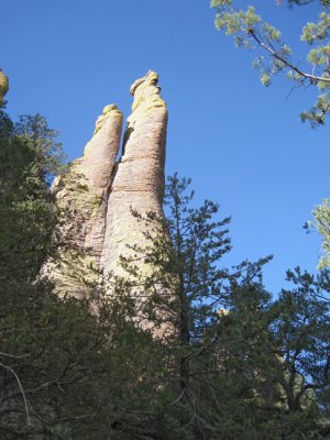 Dos needles