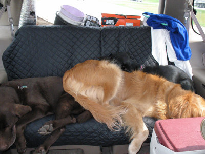 nap pile