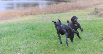 afternoon sprint