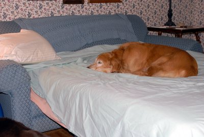 DSC_0010