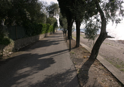 Shady Walk, Lake Garda