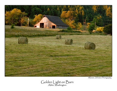 Golden Light On Barn.jpg