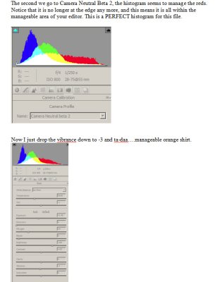 ProPhotoRGB Camera Neutral Beta 2.jpg