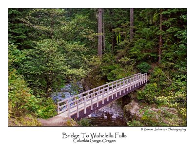 Bridge To Wahclella Falls.jpg