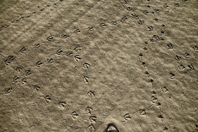 Pathways 4