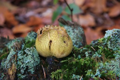 Foto 029kopie.jpg
