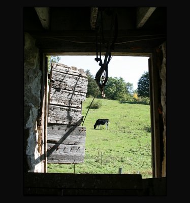 holstein window