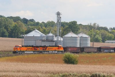 Cornfields, grain bins and a coal train. Must be Indiana!
