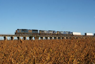 A NB evening intermodal towers over the surrounding soybean fields on the 12,000' viadcuct over the Ohio River flood plain south of Evansville
