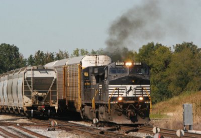 NS 9113 285 Princeton IN