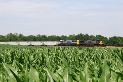 CSX 246 T499 King IN 15 June 2008