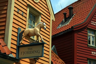 The Fjording