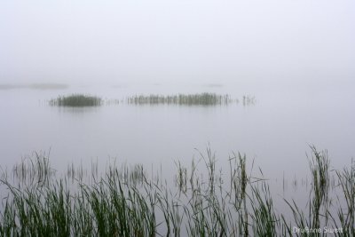 g5/91/589591/3/118741068.nCvvM6q6.jpg