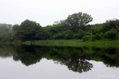 g5/91/589591/3/118741073.makU5ToJ.jpg