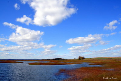 g5/91/589591/3/118742352.xnYhF64G.jpg