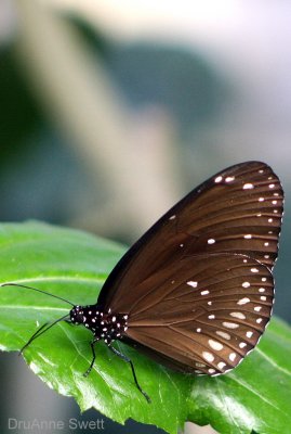 g5/91/589591/3/118788207.CvS6tCGV.jpg