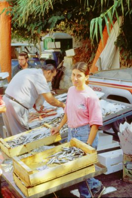 Fresh Sardines