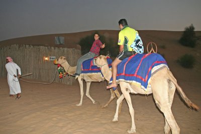 Shams on camel