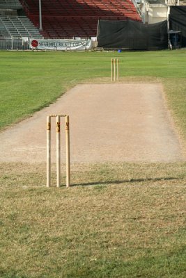 The wicket