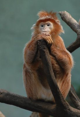 DSC_0781_edited.jpg