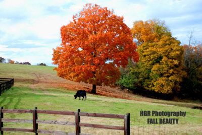 Seasons of the Ranch