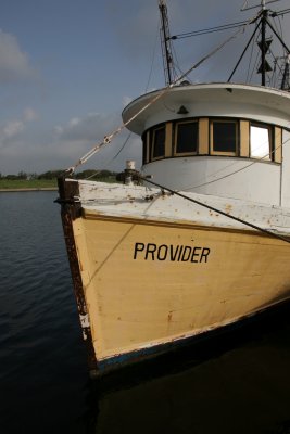 Conn Brown Harbor:  The Provider