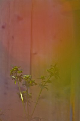 IMG_0432.jpg