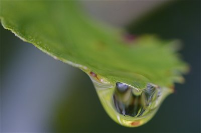 IMG_2930_2.jpg