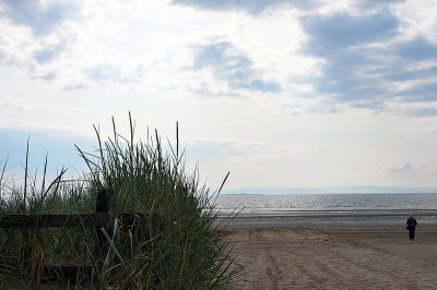 Grassy clump and beach, Troon