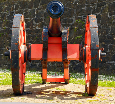 Old Cannon