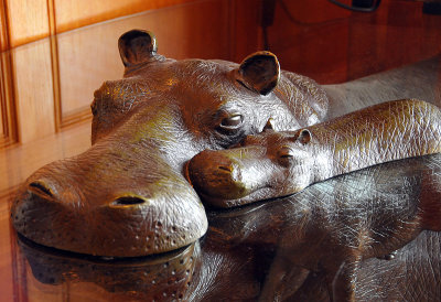 Hippo mother and baby, Troon
