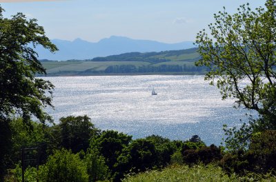 Firth of Clyde framed by trees