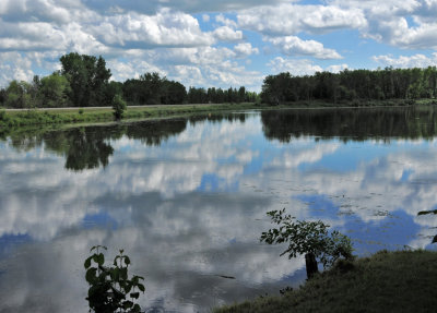 Marsh Lake at Spruce Woods Park