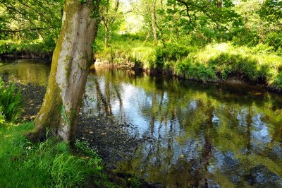 Pond on Arran Island